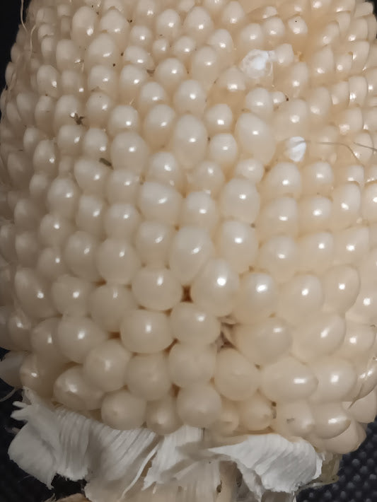 MAIS STRAWBERRY WHITE.VAR, PINEAPPLE