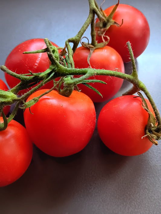POMODORO AMISH GOLD