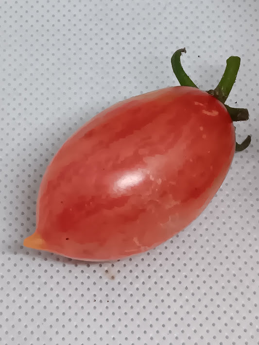 POMODORO ARTISAN PINK TIGER