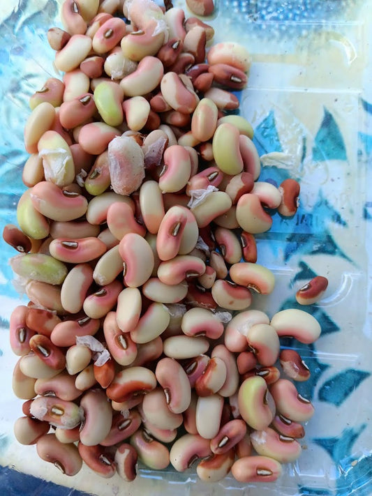 Fagiolo Delia's Delight