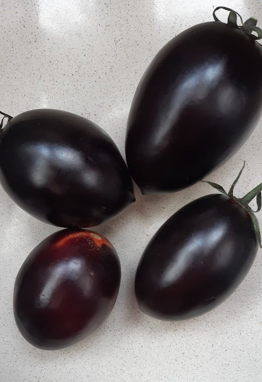 POMODORO BLACK PLUMM