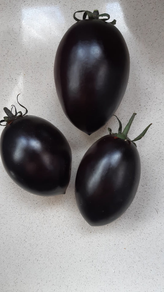 POMODORO BLACK PLUMM