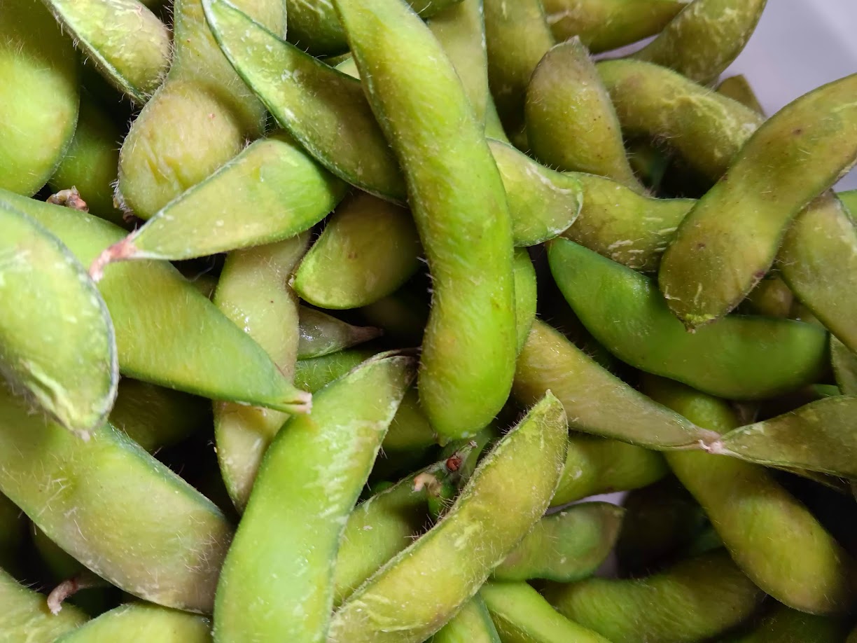 FAGIOLO ENDAMAME---SEMI.--