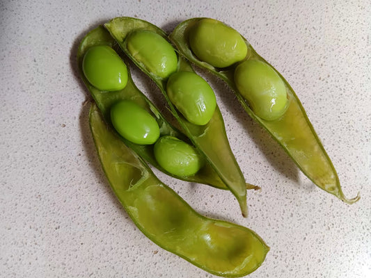 FAGIOLO ENDAMAME---SEMI.--