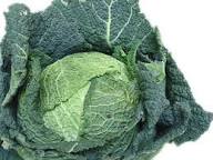 CAVOLO VERZA DI ASTI (Brassica oleacea L.
