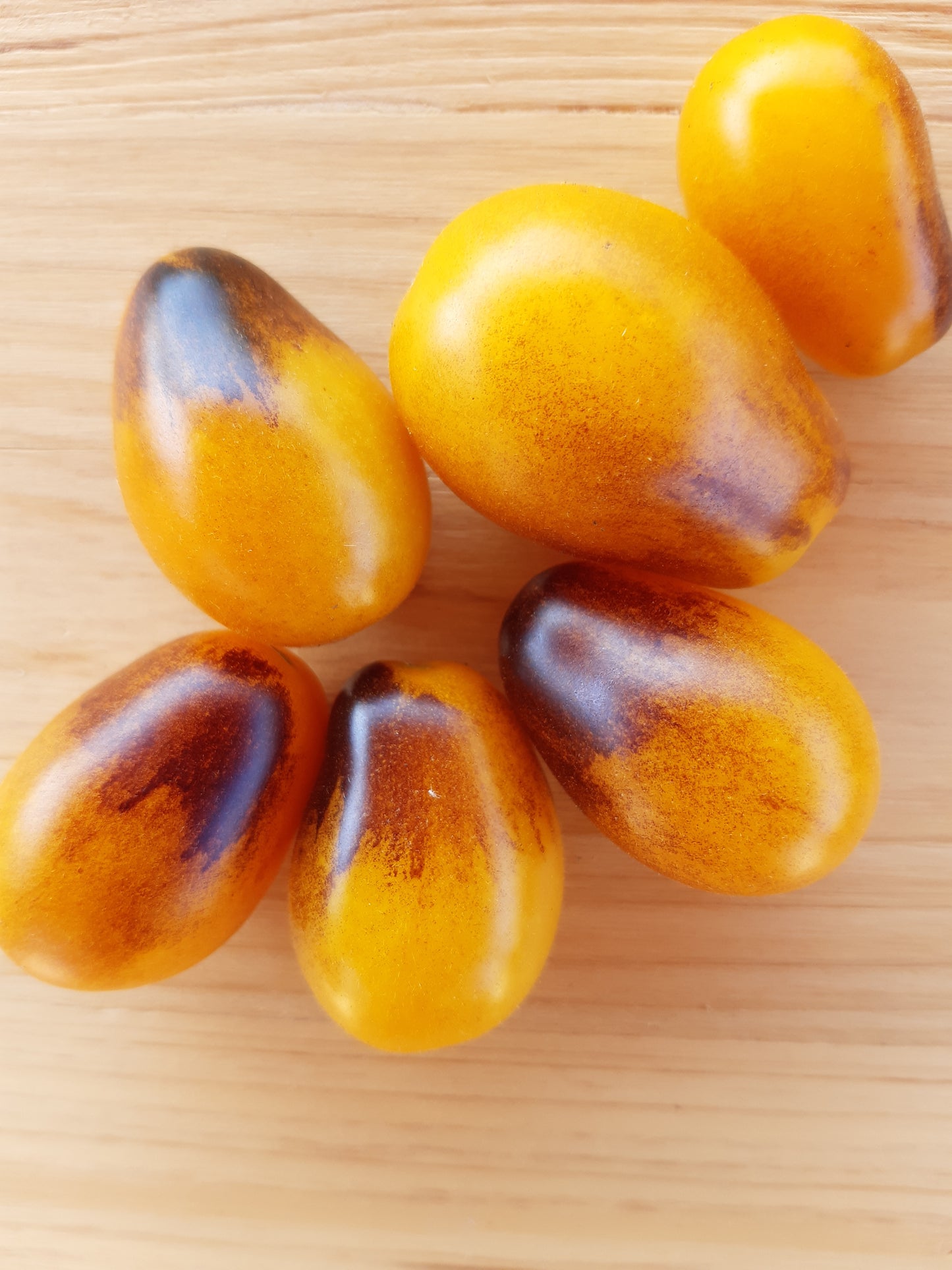 POMODORO INDIGO KUMQUAT