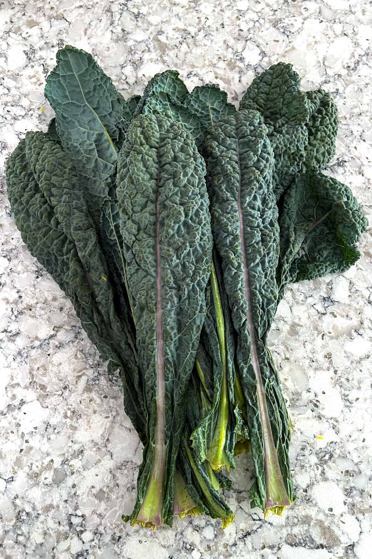 CAVOLO LACINIATO NERO DI TOSCANA