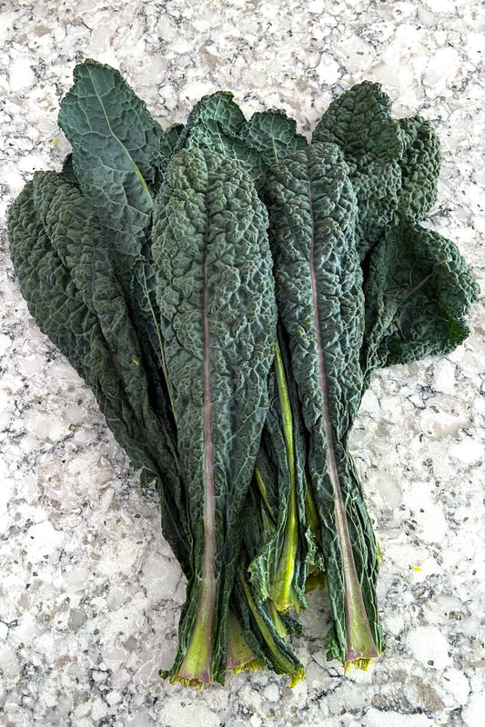 CAVOLO LACINIATO NERO DI TOSCANA