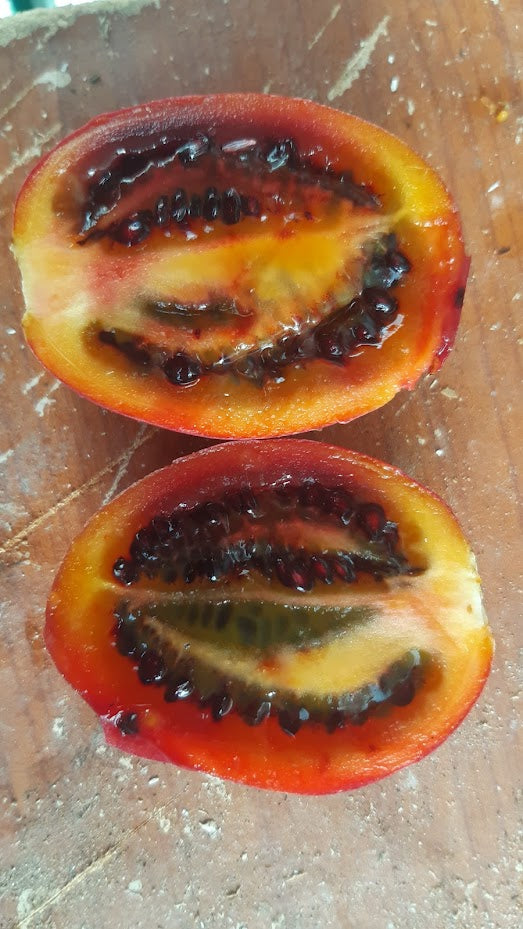 TAMARILLO--SOLANUM BETACEUM--