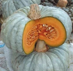 Zucca Beretta Piacentina