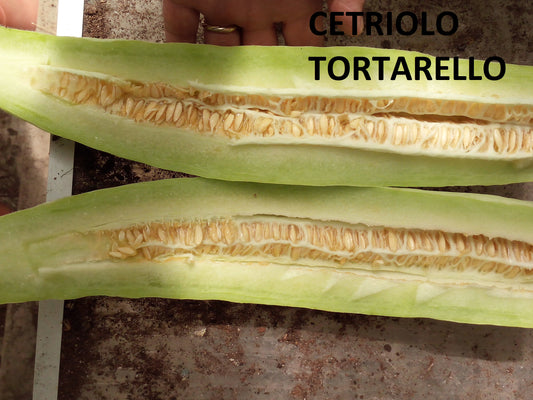 Cetriolo Tortarello