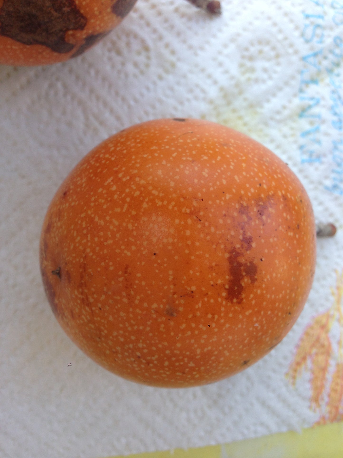 Granadilla